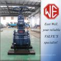 Fluoroplastic gate valve